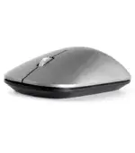 2B Wireless Mouse