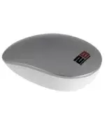 2B Wireless Mouse