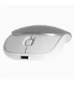 2B Wireless Mouse