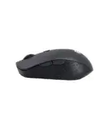 2B Wireless Mouse