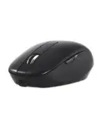 2B Wireless Mouse