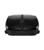 HP Wireless Dual Mouse