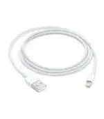 Apple Lightning to USB Cable