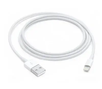 Apple Lightning to USB Cable
