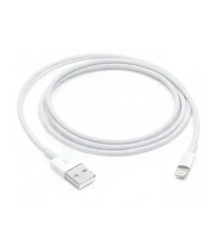 Apple Lightning to USB Cable
