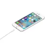 Apple Lightning to USB Cable